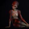 What might aliens look like from a scientific point of view?