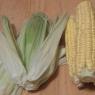 Как варить кукурузу в мультиварке Redmond, Polaris, Philips, Panasonic и других Как сварить кукурузу в скороварке