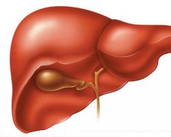 Limpieza del hígado con Allohol: revisiones y efecto del medicamento en el cuerpo.